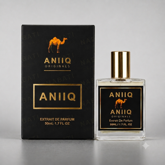 ANIIQ (Our Impression of Rave Now Lattafa)
