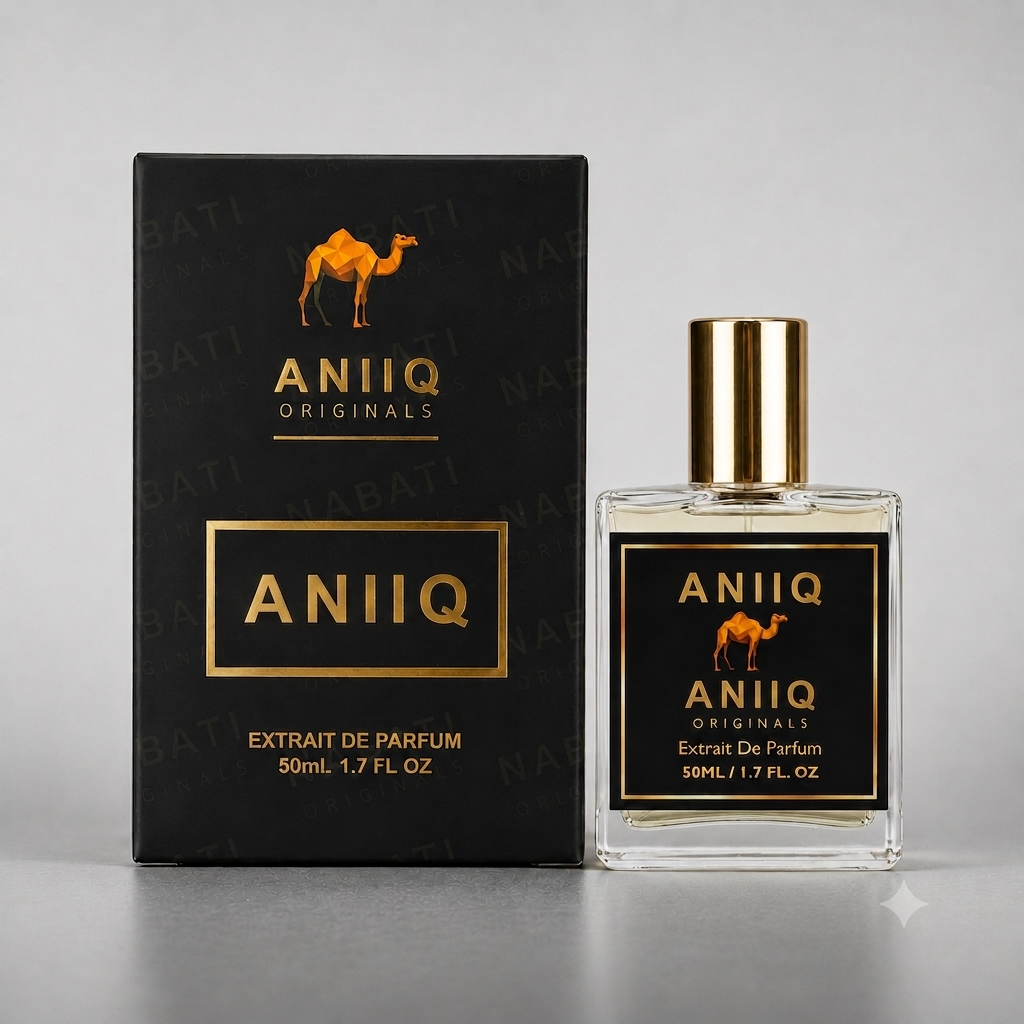 ANIIQ (Our Impression of Rave Now Lattafa)