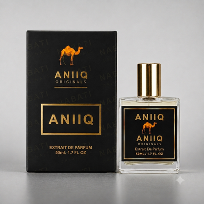 ANIIQ (Our Impression of Rave Now Lattafa)
